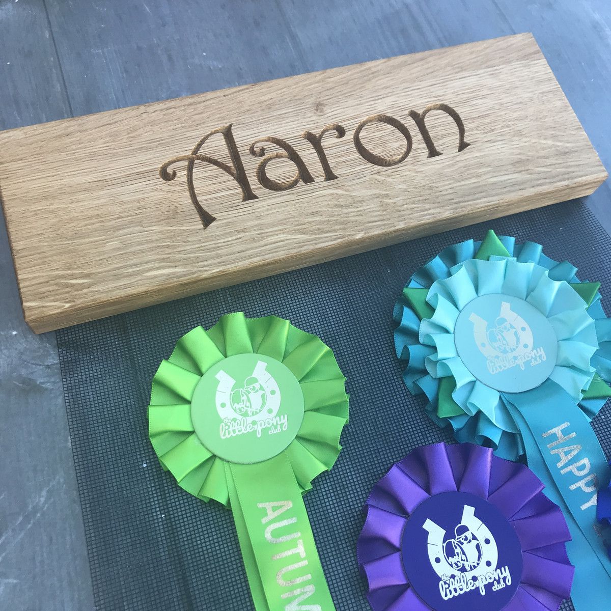 Rosette 3.JPG Rosette 3.JPG